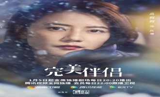 《完美伴侣》全集-电视剧百度云无删减【完整HD1080p/MP4中字】云网盘