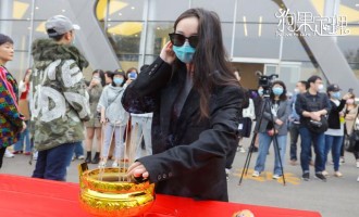《狗果定理》电影百度云(720p/1080p高清国语)下载