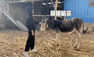《隐入尘烟》电影百度云高清网盘(资源分享)