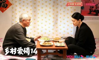 《乡村爱情15》全集百度云资源「HD1080p高清中字」