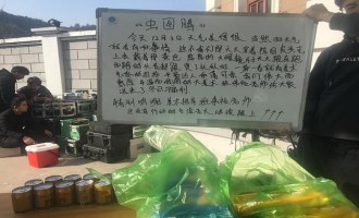 《虫图腾》全集-电视剧百度云网盘完整无删减资源