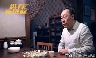 《纵有疾风起》全集电视剧百度云资源「HD1080p高清中字」