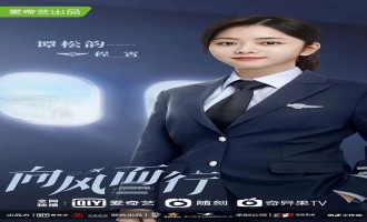 向风而行-电视剧百度云(hd高清)网盘【1280P中字】完整资源已分享